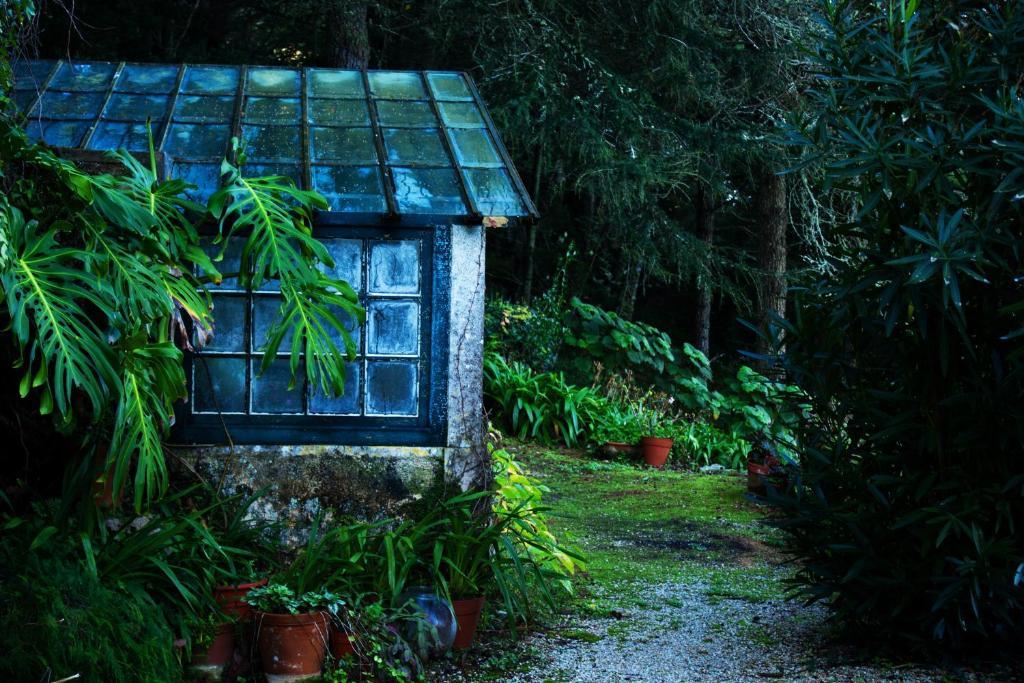 Almaa Sintra Hostel Eksteriør billede