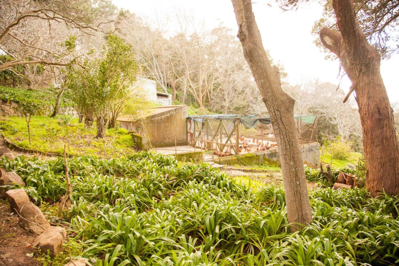 Almaa Sintra Hostel Eksteriør billede